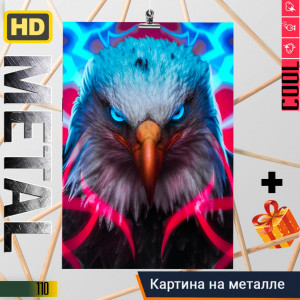 Bald Eagle