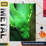 Green Mamba