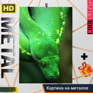 Green Mamba