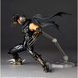 Ninja Gaiden