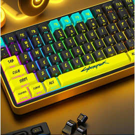 Cyberpunk