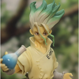 Dr. Stone