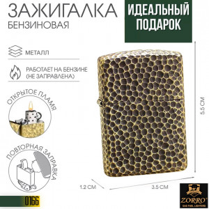 Zorro: Armor Case
