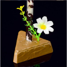 ⚔️Legend of Zelda