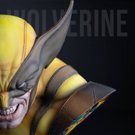 🐺🔥Wolverine🔥🐺