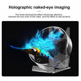 🌀✨Hologrmam fan ✨🌀