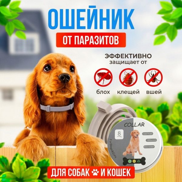 🐕Ошейник от паразитов 🐈
