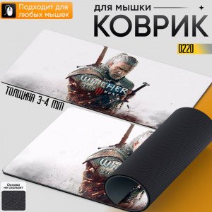 The witcher 