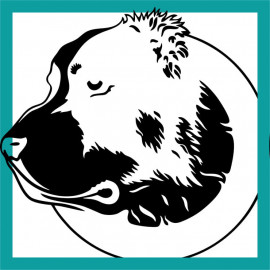 Этнические