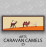 Caravan camels