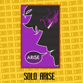 Solo Arise