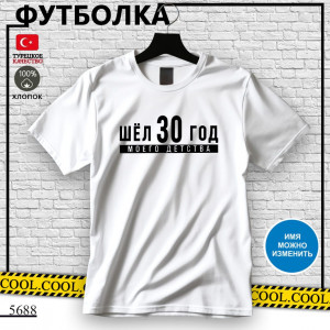 Шёл 30 год