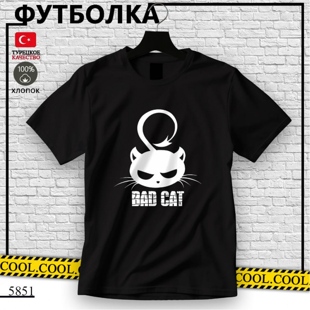 Bad cat