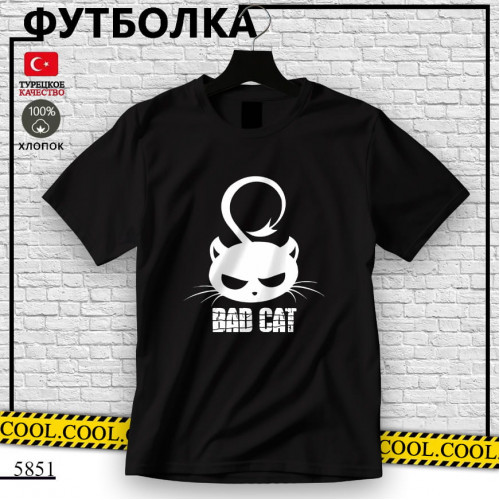 Bad cat