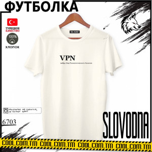 VPN