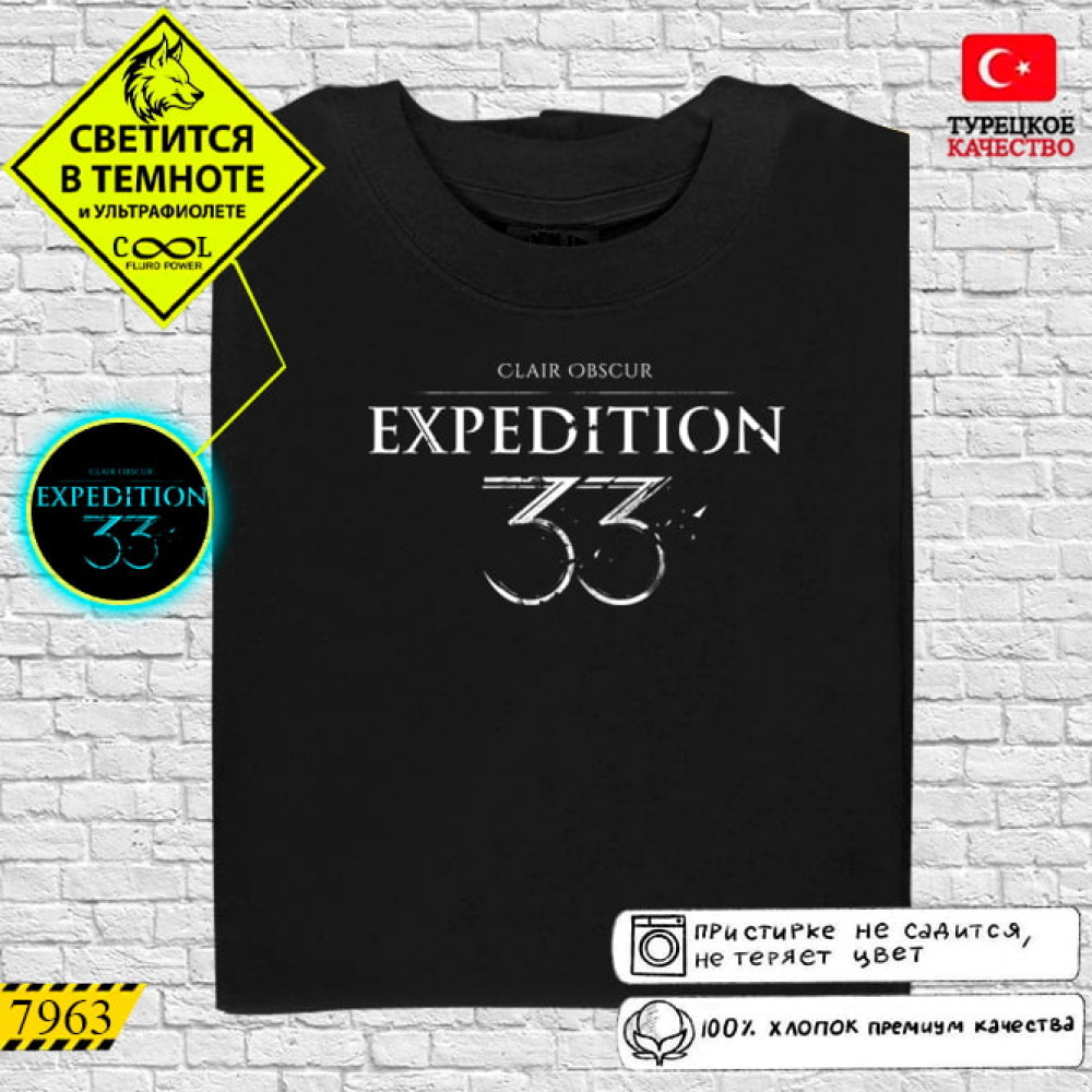 Expedition 33
