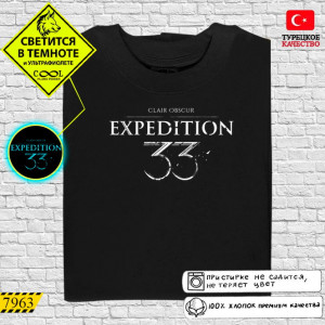 Expedition 33