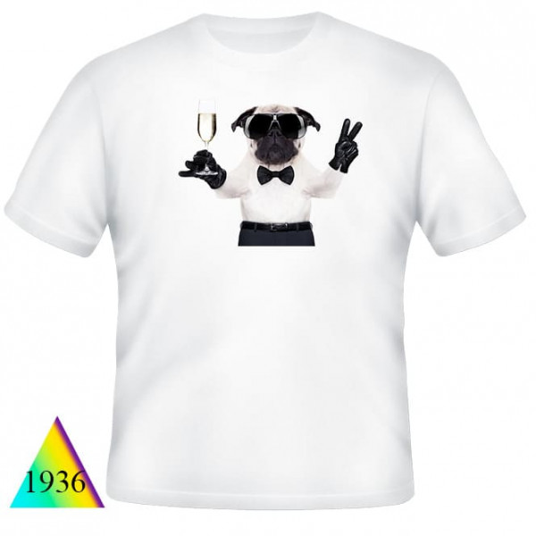 Собаки❤✅1936