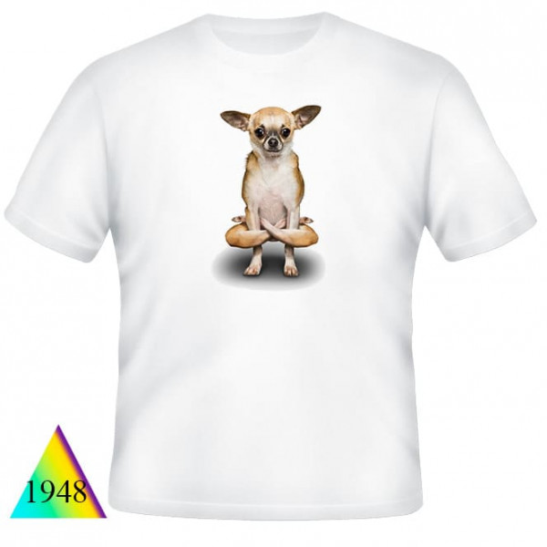 Собаки❤✅1948