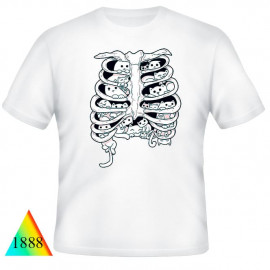 Кошки❤✅1888