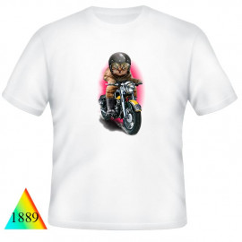 Кошки❤✅1889