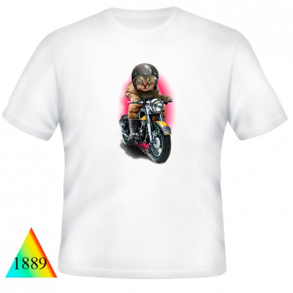 Кошки❤✅1889