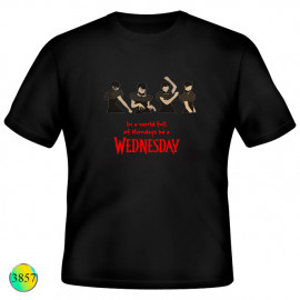 ☠Wednesday☂3857