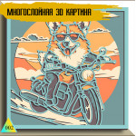 Corgi Moto