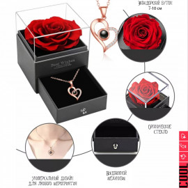 Роза с проекцией