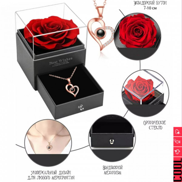 Роза с проекцией