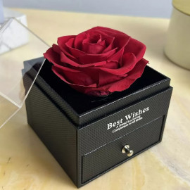 Роза с проекцией