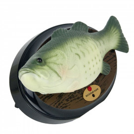 🐠 Говорящая рыба