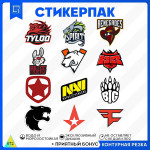 CS GO Team Logos